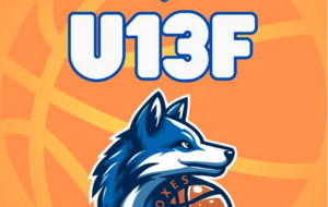 U13F